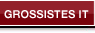 Grossistes IT