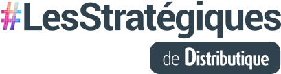 les strategique logo